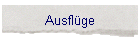 Ausflge